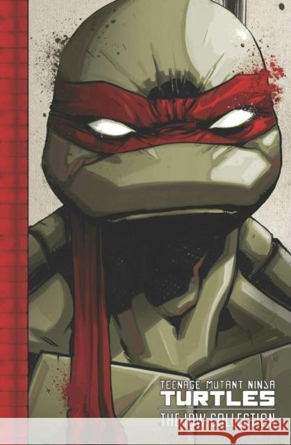 Teenage Mutant Ninja Turtles: The IDW Collection Volume 1 Tom Waltz Kevin B. Eastman Brian Lynch 9781631401114 IDW Publishing
