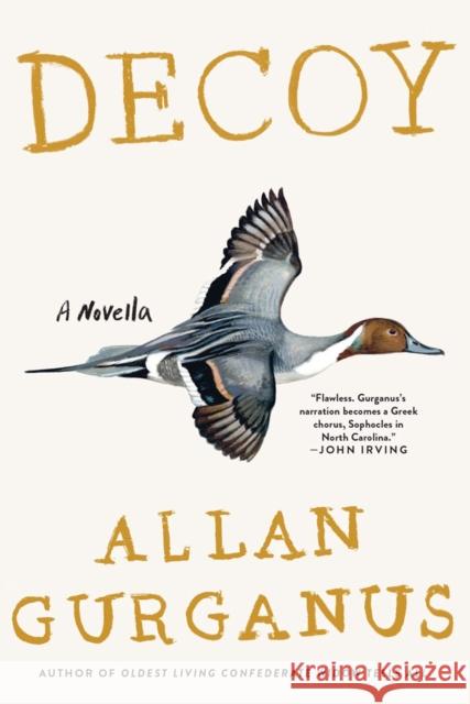 Decoy: A Novella Gurganus, Allan 9781631490255 Liveright Publishing Corporation