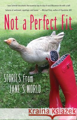 Not a Perfect Fit: Stories from Jane's World Jane A. Schmidt 9781631522062 She Writes Press