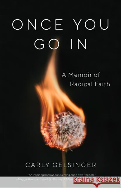 Once You Go in: A Memoir of Radical Faith Carly Gelsinger 9781631524295 She Writes Press