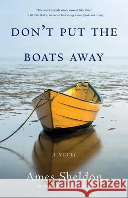 Don't Put the Boats Away Ames Sheldon 9781631526022 She Writes Press