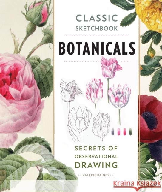 Classic Sketchbook: Botanicals: Secrets of Observational Drawing Valerie Baines 9781631591396 Quarto Publishing Group USA Inc