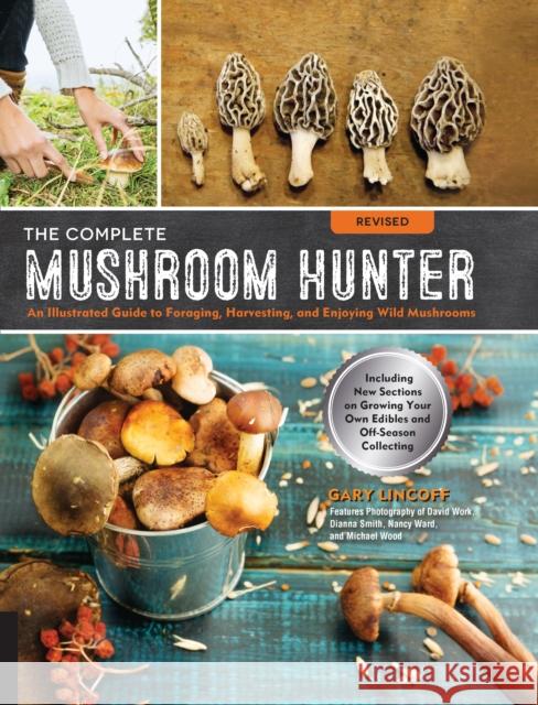 The Complete Mushroom Hunter, Revised: Illustrated Guide to Foraging, Harvesting, and Enjoying Wild Mushrooms - Including new sections on growing your own incredible edibles and off-season collecting Gary Lincoff 9781631593017 Quarry Books