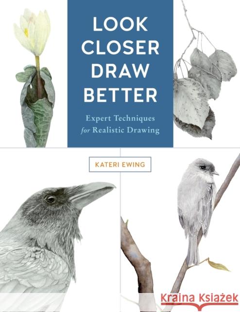 Look Closer, Draw Better: Expert Techniques for Realistic Drawing Kateri Ewing 9781631596223 Rockport Publishers