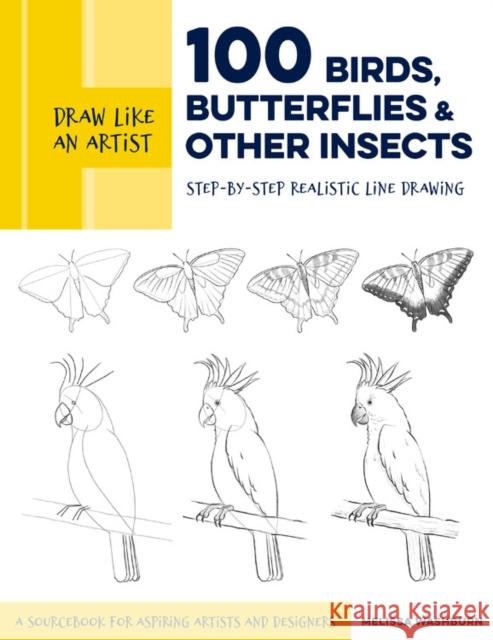Draw Like an Artist: 100 Birds, Butterflies, and Other Insects: Step-by-Step Realistic Line Drawing - A Sourcebook for Aspiring Artists and Designers Melissa Washburn 9781631599477 Quarto Publishing Group USA Inc
