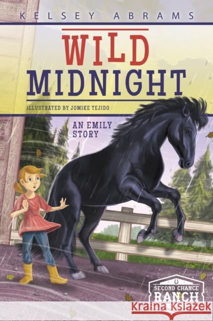 Wild Midnight: An Emily Story Kelsey Abrams 9781631631573 Jolly Fish Press