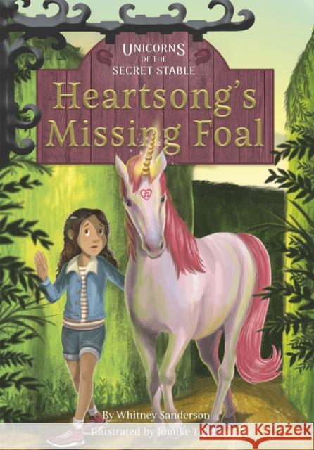 Heartsong's Missing Foal: Book 1 Whitney Sanderson Jomike Tejido 9781631633928 Jolly Fish Press