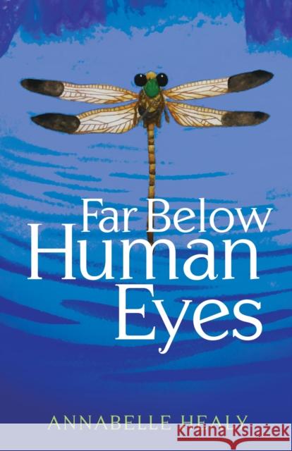 Far Below Human Eyes Annabelle Healy 9781631952401