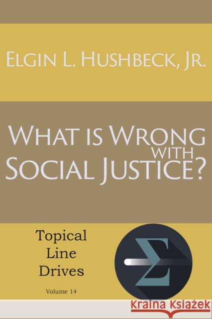 What Is Wrong with Social Justice Elgin L, Jr Hushbeck 9781631990830 Energion Publications