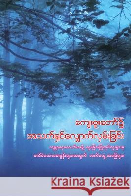 Walking in God's Grace (Burmese): Practical Answers to Tough Questions World Prayr Inc 9781631994029 Energion Publications