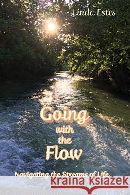 Going with the Flow: Navigating the Streams of Life Linda Estes 9781631994913 Energion Publications