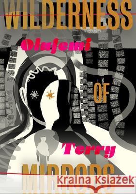In a Wilderness of Mirrors Olufemi Terry 9781632063984 Restless Books