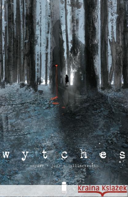 Wytches, Volume 1 Scott Snyder Jock 9781632153807 Image Comics