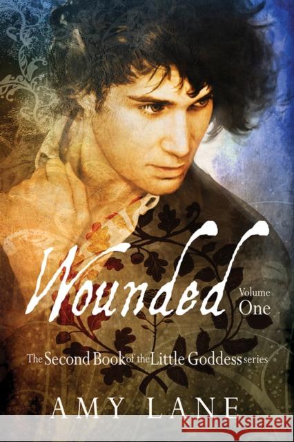 Wounded, Vol. 1 Amy Lane   9781632169532 DSP Publications