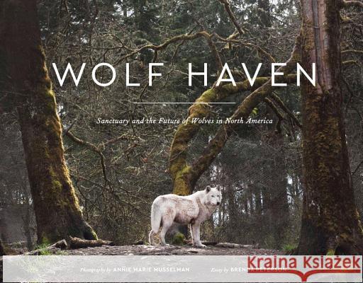 Wolf Haven: Sanctuary and the Future of Wolves in North America Brenda Peterson Annie Marie Musselman 9781632170514