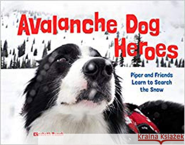 Avalanche Dog Heroes: Piper and Friends Learn to Search the Snow Elizabeth Rusch 9781632171733 Little Bigfoot