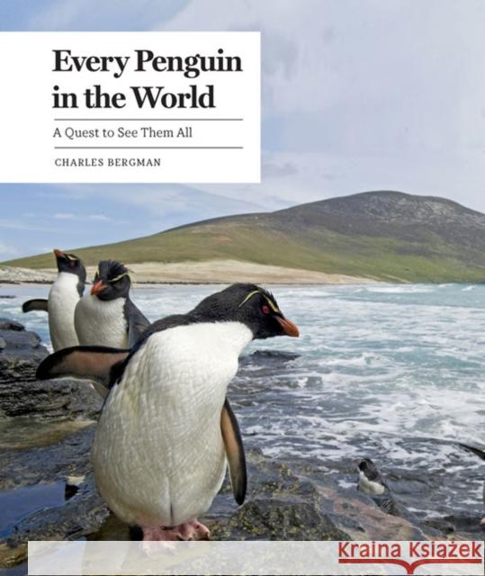 Every Penguin in the World: A Quest to See Them All Charles Bergman 9781632172662 Sasquatch Books