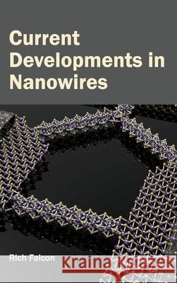 Current Developments in Nanowires Rich Falcon 9781632381095