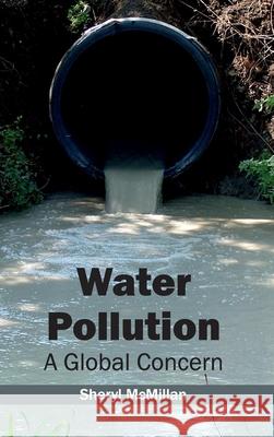 Water Pollution: A Global Concern Sheryl McMillan 9781632396082 Callisto Reference