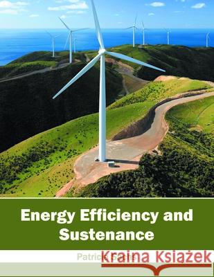 Energy Efficiency and Sustenance Patricia Sachs 9781632405609