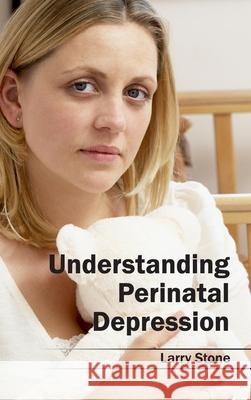 Understanding Perinatal Depression Larry Stone 9781632413789 Hayle Medical