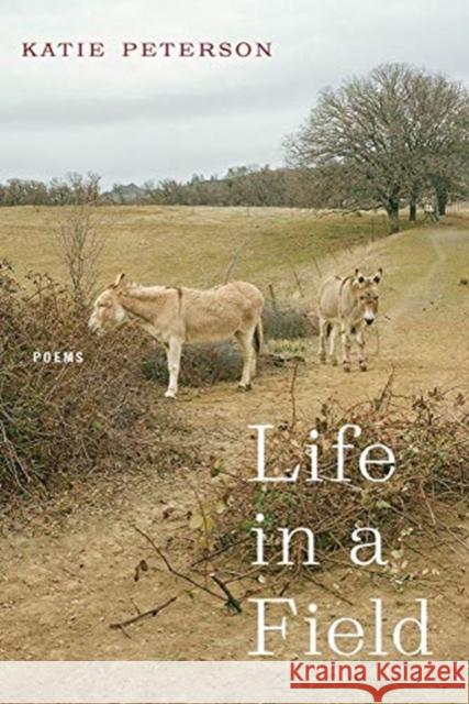 Life in a Field: Poems Peterson, Katie 9781632430908 Omnidawn