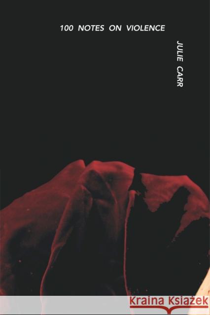 100 Notes on Violence Julie Carr 9781632431097