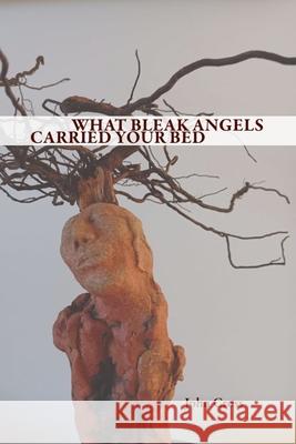 What Bleak Angels Carried Your Bed John Cross 9781632432148