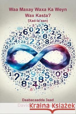 Waa Maxay Waxa Ka Weyn Wax Kasta?: Xad-la'aan David E. McAdams 9781632707710 Life Is a Story Problem LLC