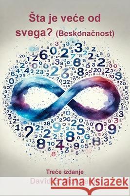Sta je vece od svega?: Beskonačnost David E. McAdams 9781632708243 Life Is a Story Problem LLC