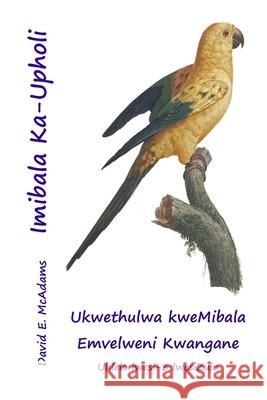 Imibala Ka-Upholi: Ukwethulwa kweMibala Emvelweni Kwangane David E. McAdams 9781632708328 Life Is a Story Problem LLC