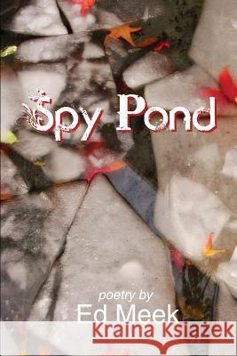 Spy Pond Ed Meek   9781632750174 Prolific Press