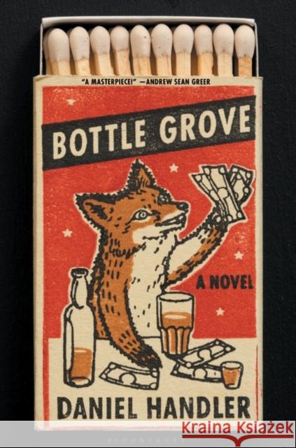 Bottle Grove: A Novel Daniel Handler 9781632864277