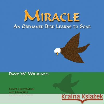 Miracle: An Orphaned Bird Learns To Soar Wilhelmus, David W. 9781632931627