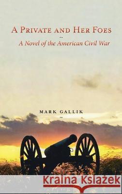 A Private and Her Foes: A Novel of the American Civil War Mark Gallik 9781632935175 Sunstone Press