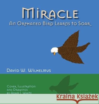 Miracle: An Orphaned Bird Learns To Soar David W. Wilhelmus 9781632937070 Sunstone Press