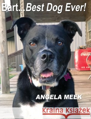 Bart...Best Dog Ever! Angela Meek 9781633021884