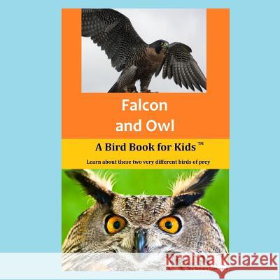 Falcon and Owl: A Bird Book for Kids Novare Lawrence 9781633070097 NADA Bindu Publishing Company