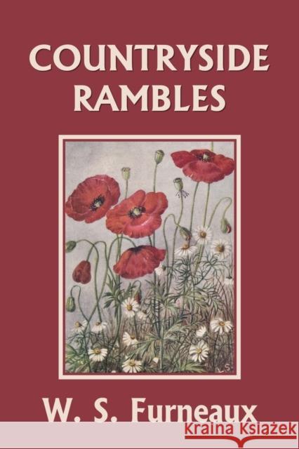 Countryside Rambles (Yesterday's Classics) W S Furneaux 9781633340466 Yesterday's Classics