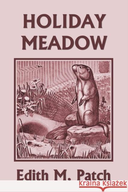 Holiday Meadow (Yesterday's Classics) Edith M Patch, Wilfrid S Bronson 9781633340480 Yesterday's Classics