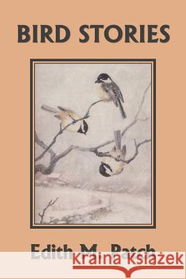 Bird Stories (Yesterday's Classics) Edith M. Patch Robert J. Sim 9781633340954 Yesterday's Classics