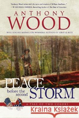 Peace Before the Second Storm: A Story of the Civil War Anthony Wood 9781633738058