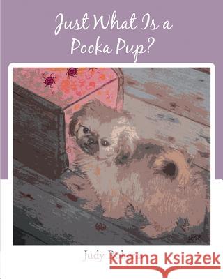 Just What Is a Pooka Pup? Judy Roberts 9781634170918