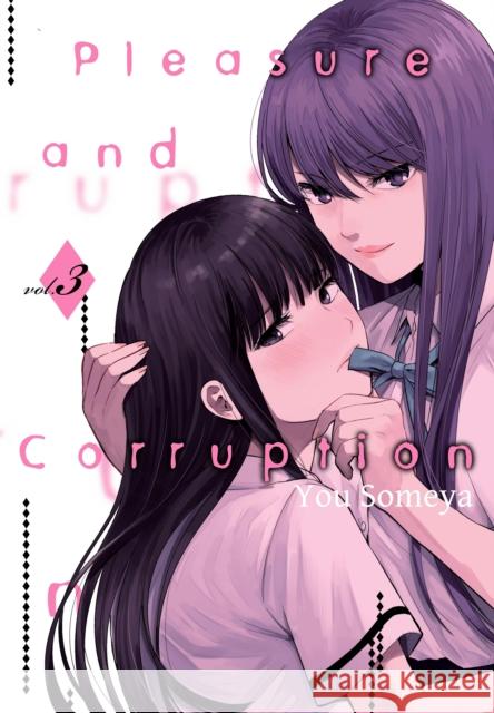 Pleasure & Corruption, Volume 3 You Someya 9781634429528 Denpa Books