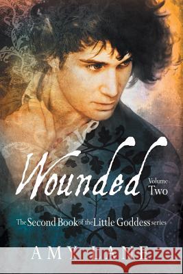 Wounded, Vol. 2 Amy Lane 9781634764469 DSP Publications