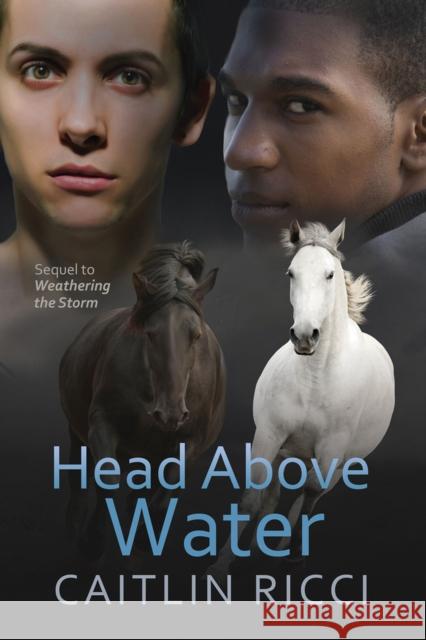 Head Above Water Caitlin Ricci 9781634774246