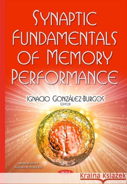 Synaptic Fundamentals of Memory Performance Dr Ignacio González-Burgos 9781634832793 Nova Science Publishers Inc