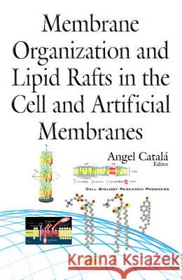 Membrane Organization & Lipid Rafts in the Cell & Artificial Membranes Angel Catalá 9781634845816