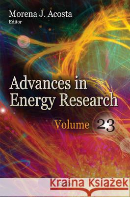 Advances in Energy Research: Volume 23 Morena J Acosta 9781634848367 Nova Science Publishers Inc