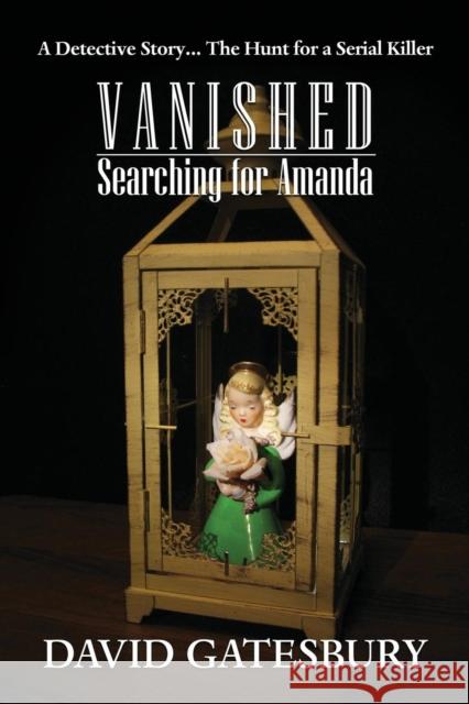 Vanished: Searching for Amanda David Gatesbury 9781634911986 Booklocker.com
